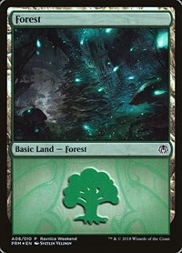Forest - Golgari (A06)