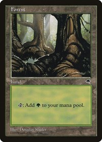 Forest (Pond)