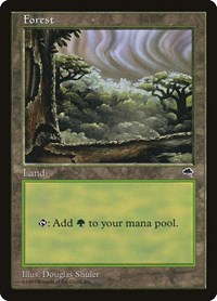 Forest (Cloudy)