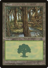 Forest (152)