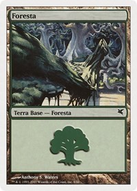 Forest (Italian) - "Foresta" (K9)