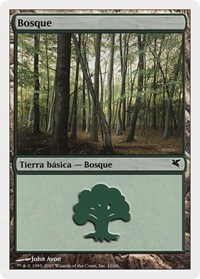 Forest (Spanish) - "Bosque" (J10)