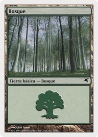Forest (Spanish) - "Bosque" (B11)