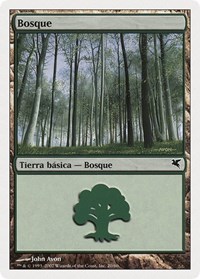 Forest (Spanish) - "Bosque" (J20)