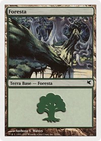 Forest (Italian) - "Foresta" (K22)