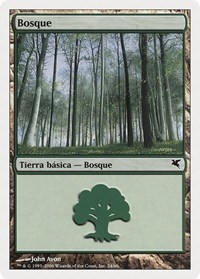 Forest (Spanish) - "Bosque" (D24)