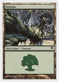 Forest (Italian) - "Foresta" (L24)