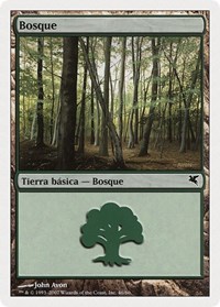 Forest (Spanish) - "Bosque" (J46)