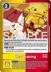 Heat Training